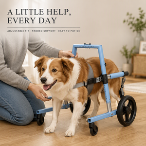 Silla de Ruedas Ajustable de Aluminio para Perros, Ayuda de Movilidad para Patas Delanteras y Traseras - Product Image 6