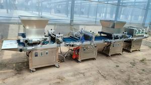 Machine <span class=keywords><strong>de</strong></span> semis <span class=keywords><strong>de</strong></span> plateau entièrement automatique Machine <span class=keywords><strong>de</strong></span> semis <span class=keywords><strong>de</strong></span> plateau pour <span class=keywords><strong>semer</strong></span> des graines <span class=keywords><strong>de</strong></span> légumes et <span class=keywords><strong>de</strong></span> fleurs - Product Image 5