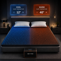 Système de refroidissement intelligent pour lit à deux zones, surmatelas à circulation d'eau, contrôle de la température, système de sommeil