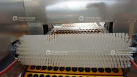 Machine automatique de dénoyautage de cerises, de pruneaux, d'abricots, de litchis, machine à dénoyauter les fruits