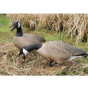 Décoys de chasse au canard 3D personnalisables, trois postures, pliables, en EVA, leurres de chasse au canard du <span class=keywords><strong>Canada</strong></span> pour accessoires de chasse en extérieur - Product Image 6