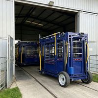 Chute de compression mobile pour bétail en acier robuste pour l'encastrement des animaux en élevage à distance