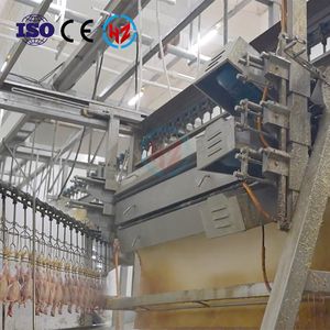 500-15000BPH équipement d'abattage de poulet pour l'abattage efficace de la volaille utilisation d'abattoir - Product Image 3