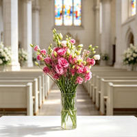 Promo Bunga Eustoma Segar Berkualitas Tinggi, Bunga Mekar Lebat, Eustoma untuk Florist