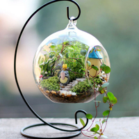 Prix usine Vase en verre borosilicaté Plantes artificielles Pot Vase en verre Plante Terrarium