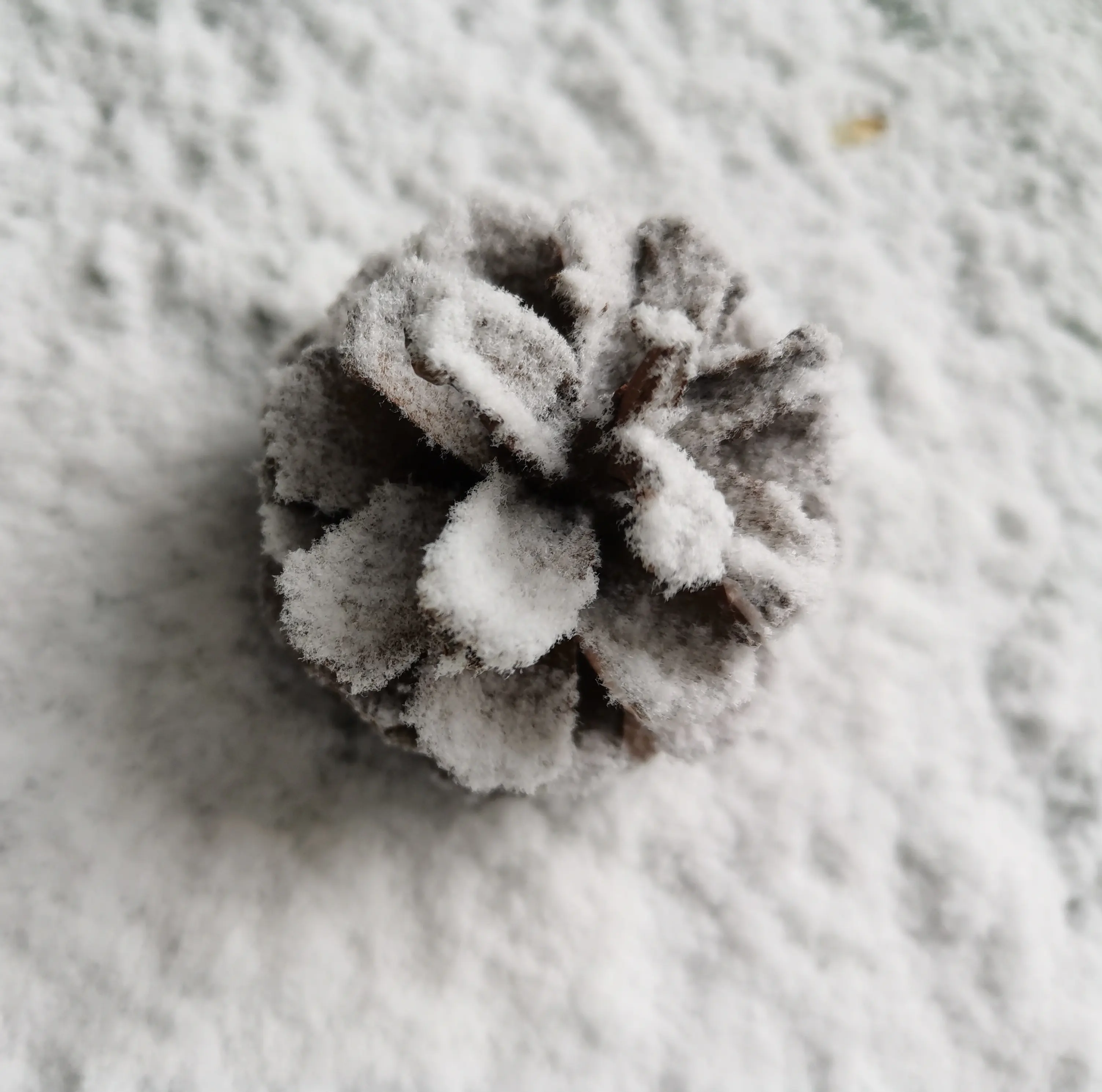 Produttore di carta da neve all'ingrosso bianco grigio cenere neve artificiale