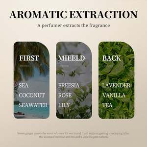 Shampoo pour cheveux SADOER en marque privée, shampooing pour cheveux propre, antipelliculaire, anti-<span class=keywords><strong>poux</strong></span>, shampooing pour cheveux à la kératine, shampooing pour cheveux biologique à la noix de coco - Product Image 6