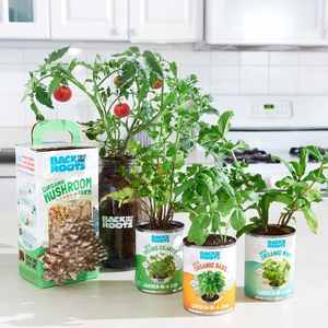 100% Kit de inicio de jardín de hierbas orgánicas para interiores con cilantro de menta de albahaca para cocinar el uso del suelo Regalo perfecto para jardinero - Product Image 6