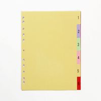 Diviseurs de reliure de vente d'usine avec onglets Séparateurs de dossier de page multicolores Protecteurs de papier en feuille