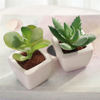 Ensemble de 4 mini-succulentes artificielles vertes en céramique blanche carrée avec pot en PVC, durables pour la décoration de la maison ou du bureau