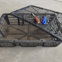 La caisse d'ormeau du marché des fruits de mer/panier en plastique d'ormeau avec taille personnalisable