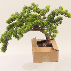 JWT3815 Pin bonsaï usine vente directe artificielle accueillant pin bonsaï fleur vert taille pot arbre décoration beauté plante - Product Image 4