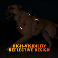 Nouveau Harnais pour Chien Happy Sport en PVC Réfléchissant et Métallique, Style Nid d'Abeille Oxford, avec Poignée, Réglable, Respirant, Durable, Anti-Traction et Sûr