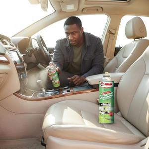 Nettoyant Moussant Getsun pour Tissus d'Ameublement – Éliminateur d'Odeurs, Lavage à Sec, Nettoyage en Profondeur, Détachant, Neutraliseur d'Odeurs de Fumée et d'Animaux, Savon en Spray - Product Image 6