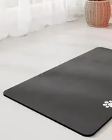 Tapis d'alimentation pour animaux de compagnie en diatomite à séchage rapide et absorbant, lavable, antidérapant et résistant aux taches