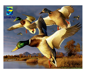 Jiangxing Tùy Chỉnh DIY 5d Kim Cương Tranh Nghệ Thuật Kit Mosaic Pha Lê Rhinestone Tranh Thêu Với Kim Cương Thủ Công Kit Người Lớn - Product Image 1