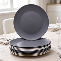Assiettes réutilisables incassables en PP pour salade et dîner, sans BPA, compatibles micro-ondes et lave-vaisselle, design classique pour camping, barbecue et voyage
