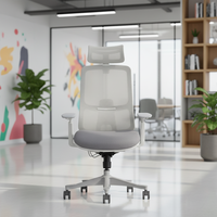 Échantillon Gratuit - Chaise de Bureau Ergonomique Pivotante Anji Moderne, Revêtement Tissu, Design Pivotant, Mobilier de Bureau de Haute Qualité, Chaise de Direction