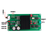 Amplificateur de puissance numérique mono classe D TPA3255 600W haute puissance, carte amplificateur de puissance pleine fréquence/subwoofer TPA3255