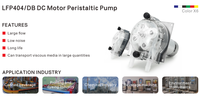 Pompe péristaltique de qualité alimentaire LEFOO OEM 4200 ml/min à grand débit, moteur 24 V CC, pour le dosage de liquides et de boissons