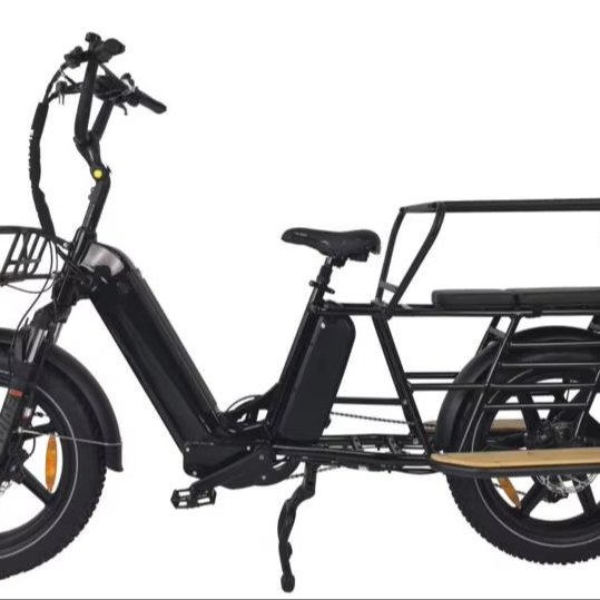 Long Tail Cargo Electric Bicycle Dual Motor Lithium Battery E Bicycle Hydraulic Disc Brake 7speed E Bike for Kids