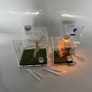 Factory Wholesale Clear Lucite Jumping Spider Feeding Cage Acrylic Display Enclosure for Reptile Breeding Observation - Product Image 5