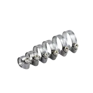 Edelstahl-Clamp-Variety Pack 12,7 mm Band perforiert Edelstahl-Schlauchverschluss-Clamp mit Schraube