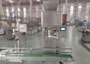 Usine de source directement vente 10-50KG Machine de remplissage de poudre pour l'emballage de sacs en plastique - Product Image 3