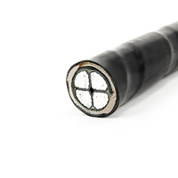 25mm² 50mm² 70mm² 95mm² 240mm² 0,6/1kV XLPE/PVC Aluminium-Kupfer Armiertes Stromkabel