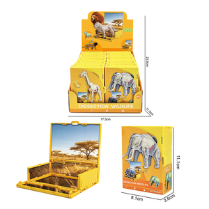 Juego de Juguetes de Anatomía de Animales Salvajes para Decoración de Mesa, Esqueleto de Animal <span class=keywords><strong>3D</strong></span> para Armar - Product Image 3