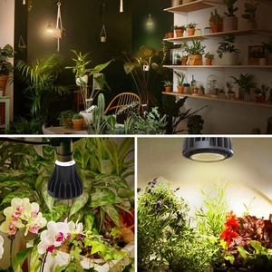 Quang phổ đầy đủ phát triển đèn cho các nhà máy trong nhà ra98 10 Wát E27 <span class=keywords><strong>par20</strong></span> nhẹ Lũ lụt nhà máy dẫn phát triển bóng đèn cho hạt giống và greens cân bằng - Product Image 6