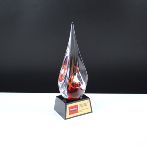 Hitop Design 3D Red patrón diseñador K9 trofeo de cristal premio de negocios Glass Nuevo estilo Sports Mdals Trophy - Product Image 3