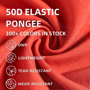 Tái Chế Polyester 50D Căng Ngoại Quan Vải 300 + Màu Sắc Giá Mỗi Mét Cho Cô Gái Áo Khoác Lót 100% Polyester Cho Tái Chế - Product Image 1