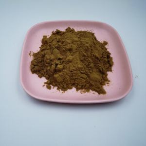 Ekstrak Coleus Forskohlii Murni Alami Bubuk Ekstrak Coleus Forskohlii <span class=keywords><strong>Forskolin</strong></span> 10% <span class=keywords><strong>20%</strong></span> 98% - Product Image 3