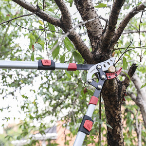 Dụng cụ làm vườn Kéo cắt chi nhánh máy cắt nhiệm vụ nặng nề mở rộng lopper dài xử lý cây loppers - Product Image 2