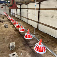 Équipement d'élevage avicole entièrement automatique : Système d'alimentation et d'abreuvement pour poulets de chair en élevage au sol