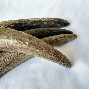 ชุดตกแต่งรูปสัตว์คู่กับสายรัดสำหรับเครื่องประดับเครื่องแต่งกายในราคาขายส่งโดยหัตถกรรมโซนส่งออก - Product Image 5