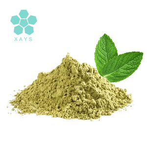 Gefriergetrocknetes Lebensmittelqualität Bio-Pfefferminzblätter-Kräuterextrakt Natürliches Wildminzblatt-Extraktpulver - Product Image 1