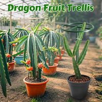 Treillis en métal pour plantes grimpantes de 62 pouces, réglable, détachable, multi-usages, support pour plantes en pot d'intérieur et d'extérieur