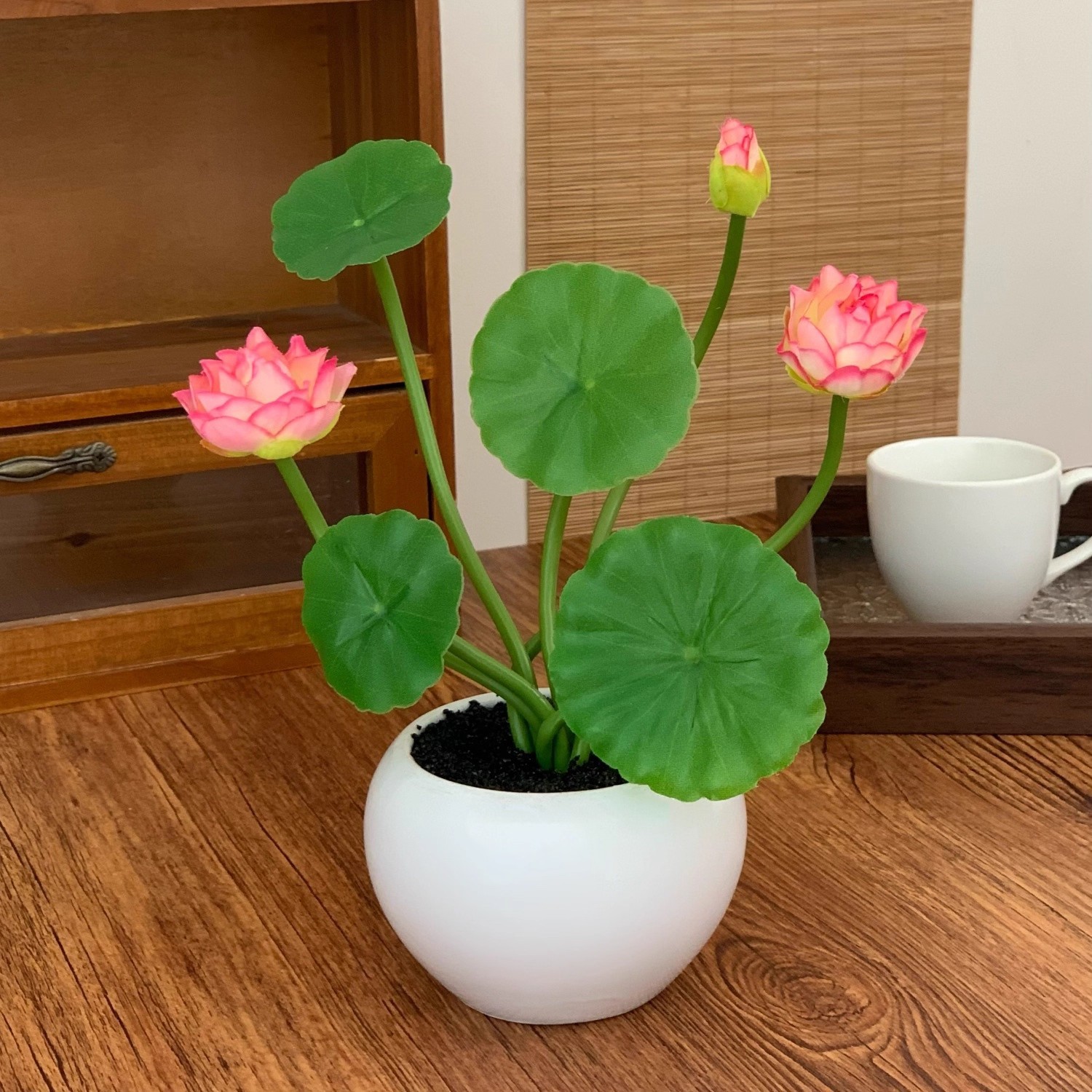 Pink lotus miniature potted plant [complete pot with ceramic pot]