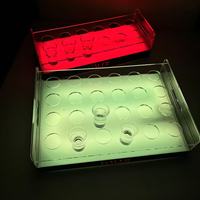 Plateau à verres à shot lumineux LED en acrylique avec logo personnalisé, rechargeable, support de verres à shot lumineux coloré, support de verres à shot