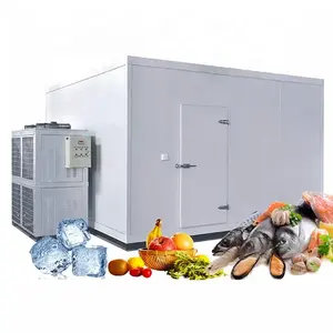 Customized 10*6*3M Minus 25 Degree Walk in Freezer Cold Storage Room For Dates Seafood