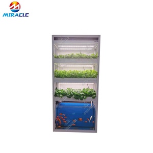 Sistema Acquaponico Domestico per Coltivazione <span class=keywords><strong>di</strong></span> Ortaggi a Foglia e Pesci - Product Image 4