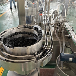 Độ chính xác cao Tự động servo Máy chiết rót cho 10ml nhựa mũm mĩm Gorrila chai dầu làm đầy chất lỏng - Product Image 5