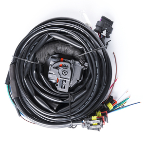 Lpg <span class=keywords><strong>cng</strong></span> chuyển đổi Bộ dụng cụ 6 8 xi lanh <span class=keywords><strong>cng</strong></span> chuyển đổi Bộ dụng cụ để bán - Product Image 3
