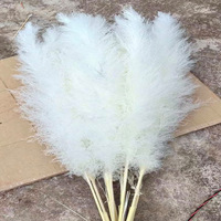 Herbe de la Pampa Séchée Naturelle Grande et Moelleuse, Beige Blanc, Décoration de Mariage Bohème, Vente en Gros