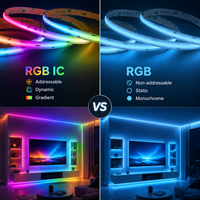 Bande LED COB RGB IC 576 LED/m 12V 10mm BERIXDEEP, couleur magique, sans points, intelligente, réglable, adressable, contrôle par application pour éclairage décoratif