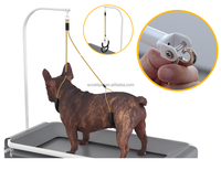 Baignoire et table de toilettage pour animaux de compagnie 2 en 1