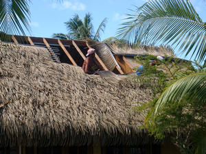 Usine Intérieur Extérieur Preuve UV Grand Faux Feuillage Branches D'arbre Feuille <span class=keywords><strong>Feuilles</strong></span> De Palmier Artificielles - Product Image 3