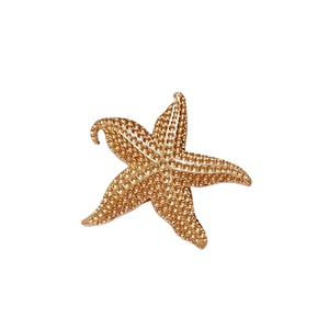 Chất Lượng Cao Tùy Chỉnh Kẽm Hợp Kim Kim Loại Sao Biển Nút Nhà Máy Bán Hàng Trực Tiếp Cho Phụ Nữ Của Thời Trang Phụ Kiện Đồ Lót - Product Image 4